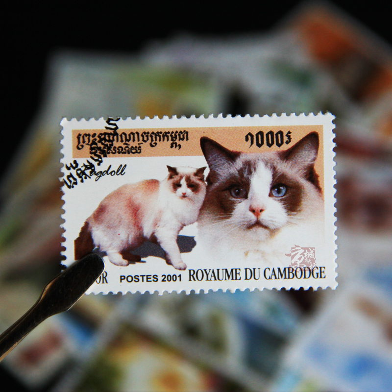 50 Different Cats Stamps 50 No – обзор и цена Vintage Collectible Stamps