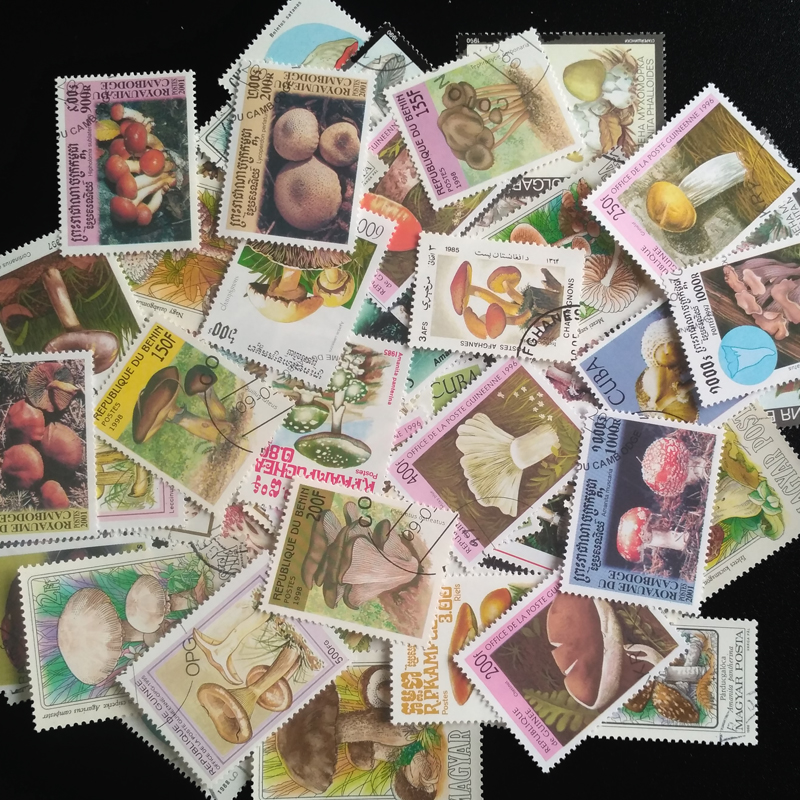 100 Different Original Mushroo – обзор и цена Vintage Collectible Stamps